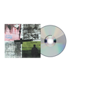 Stray Dogs - CD + Signed Insert